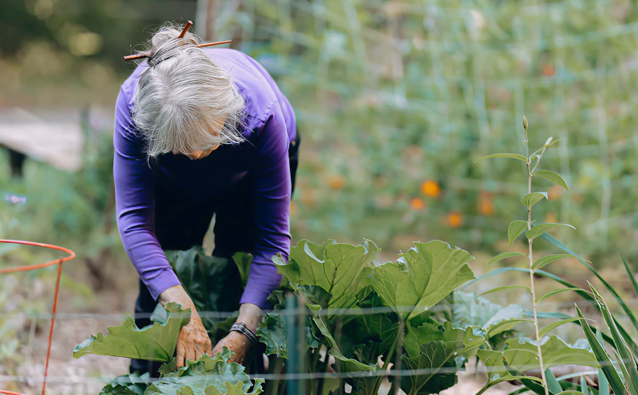 Woman tending to plants in garden using Earth Funeral soil