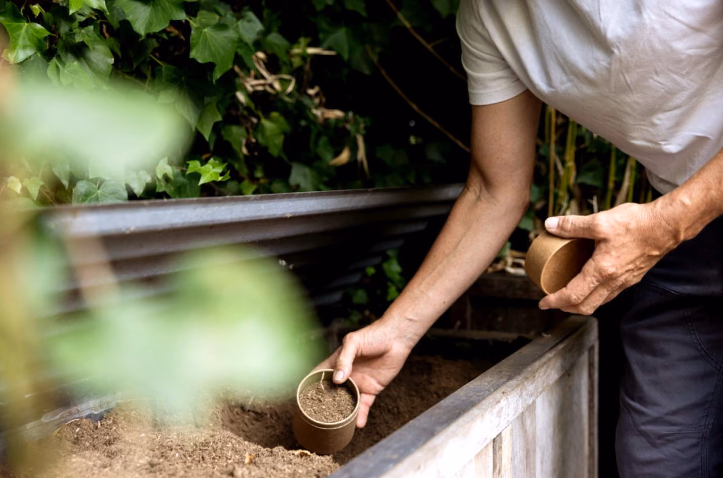 Earth Funeral - Person placing soil from a small container into a raised garden bed surrounded by green leaves.