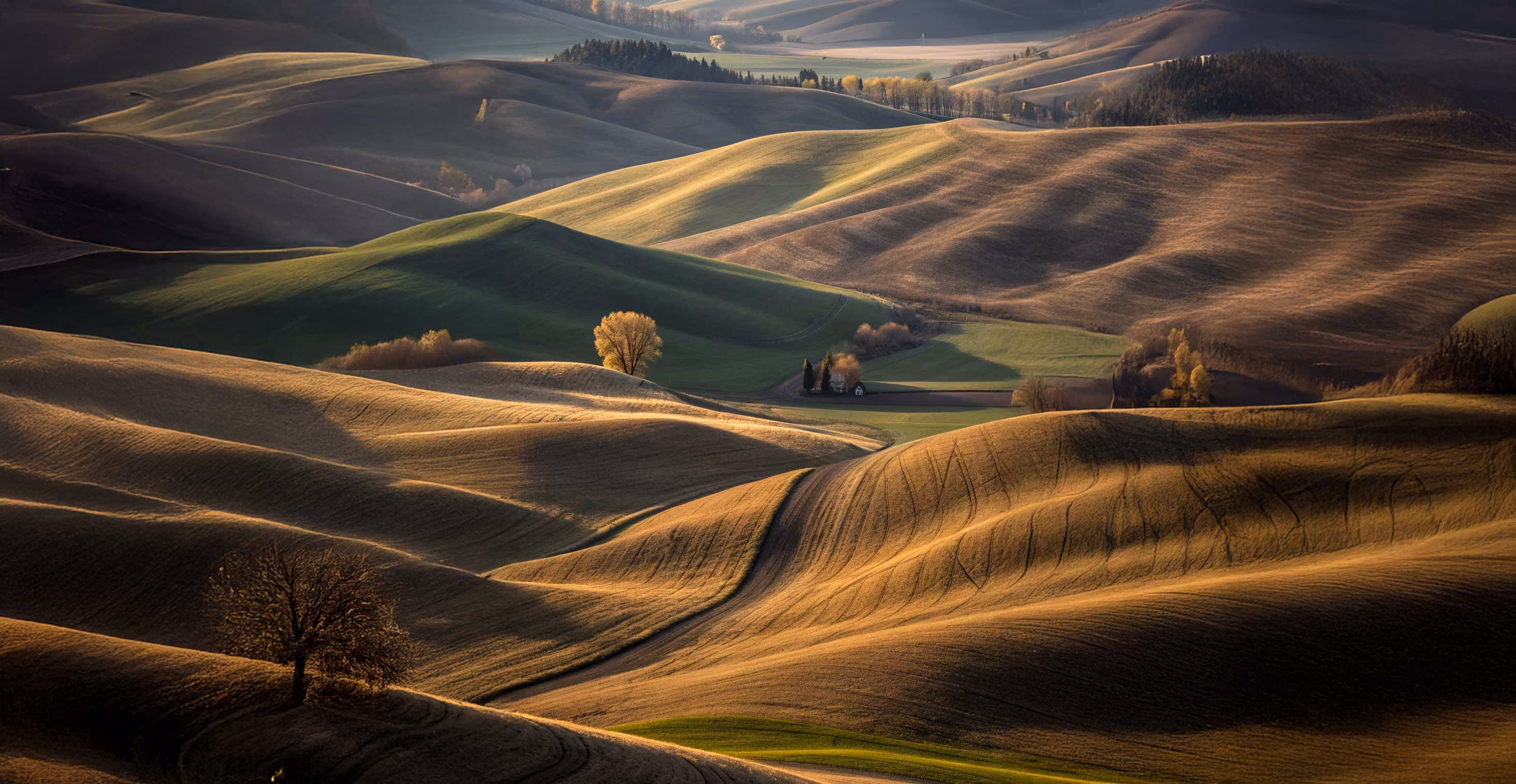 Rolling grassy hills at golden hour representing the natural landscapes where Earth Funeral offers services