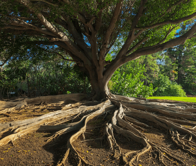 Thoroughly Tested and Verified