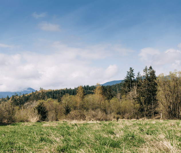 Olympic Peninsula landscape