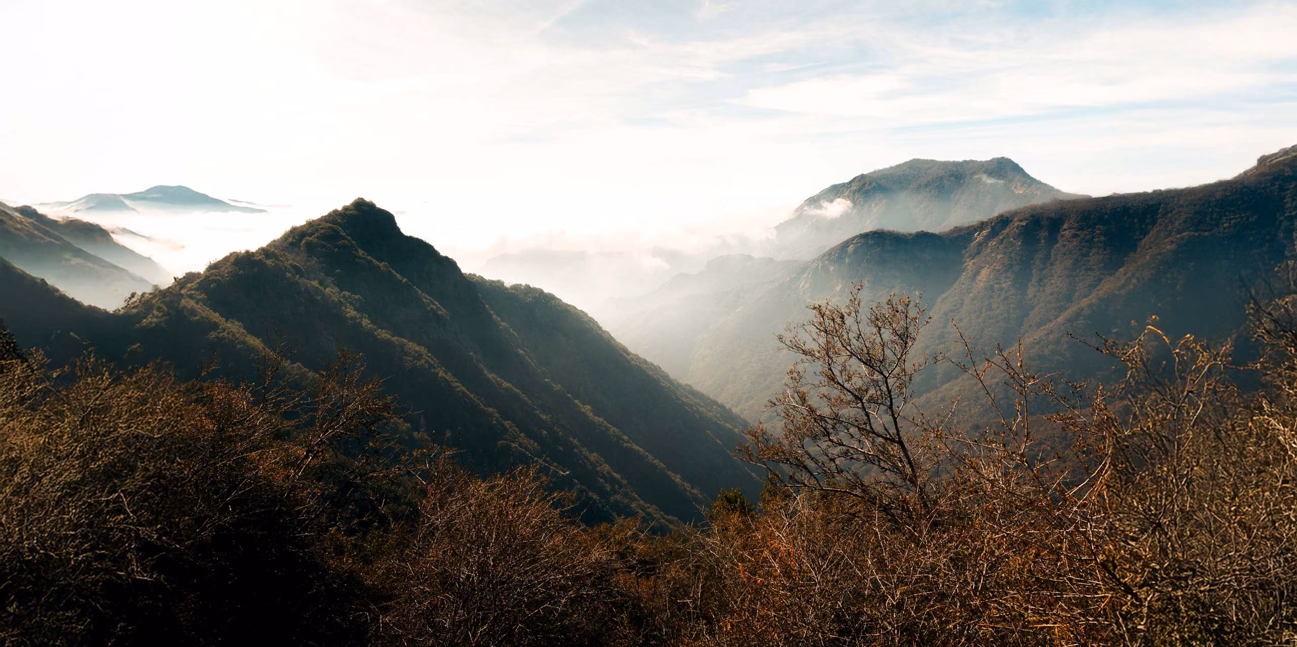 Mountain range with mist in the valleys and bare trees in the foreground under a partly cloudy sky.