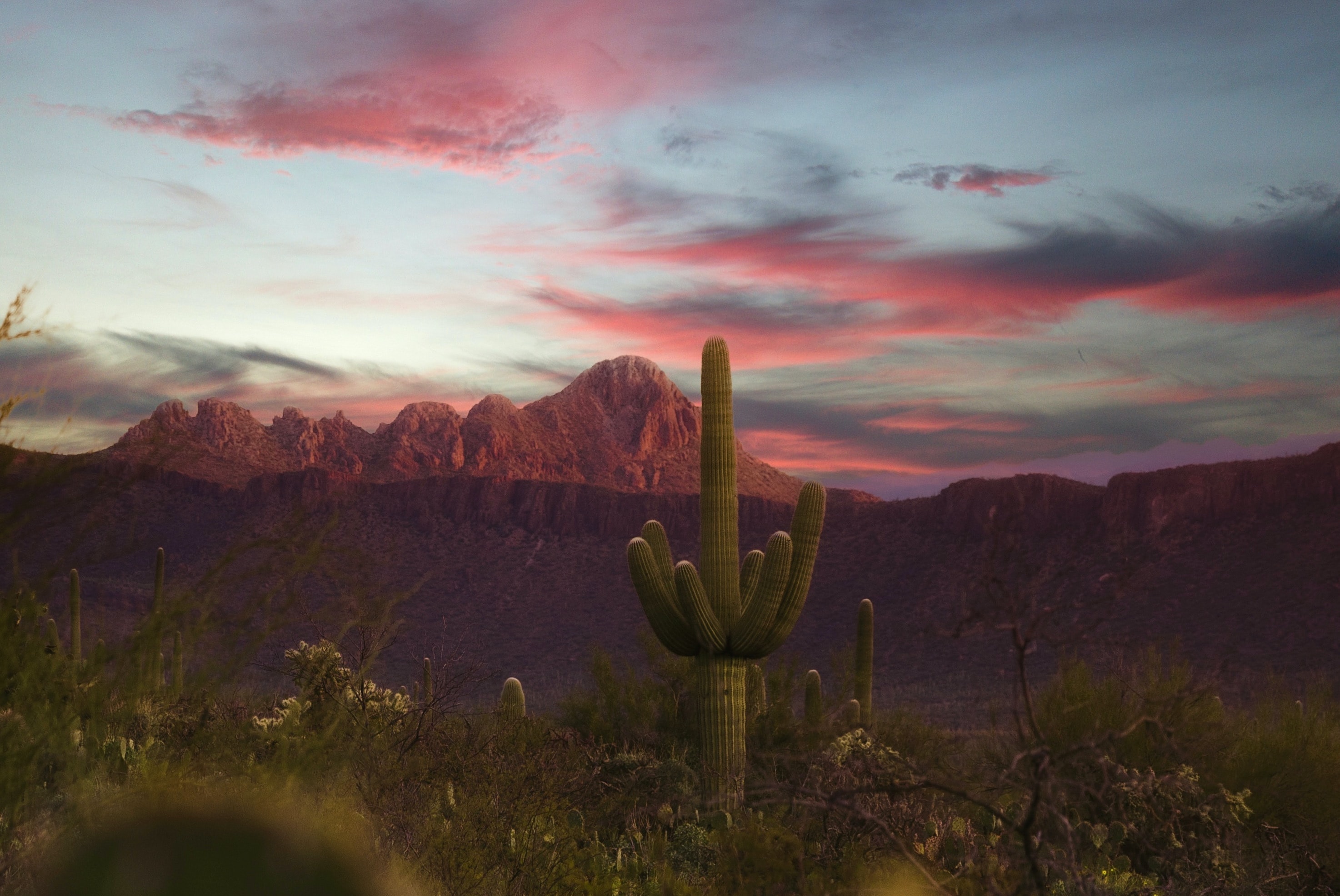 Human composting Arizona