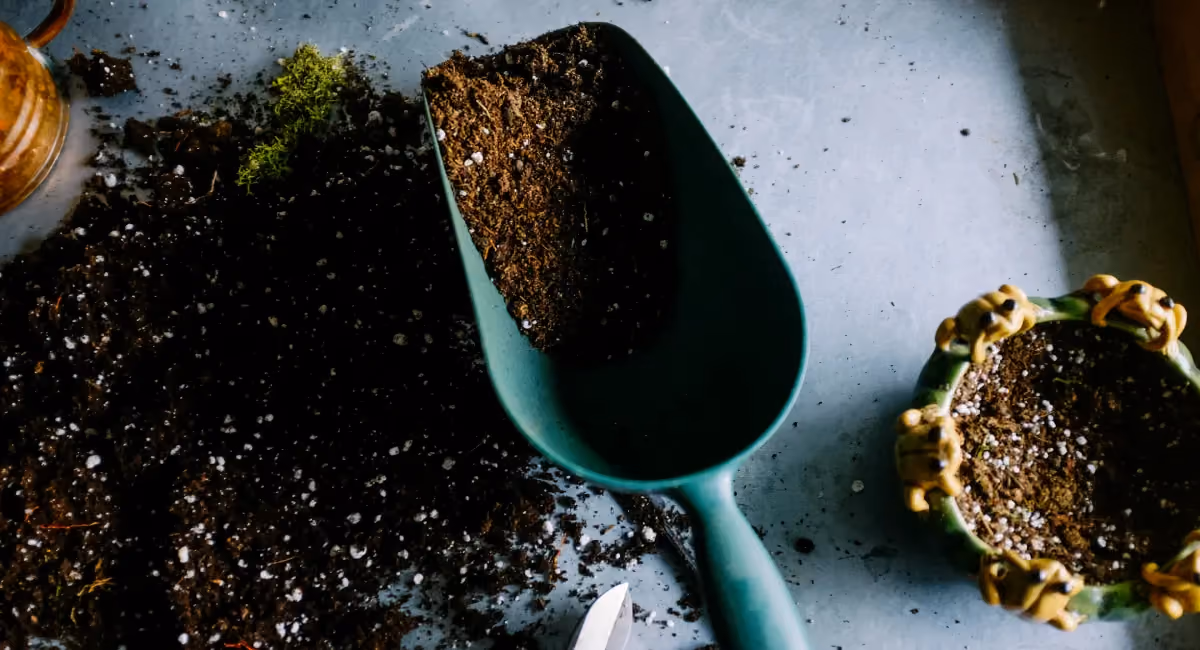 Soil lying in and next to gardening tools from human composted soil
