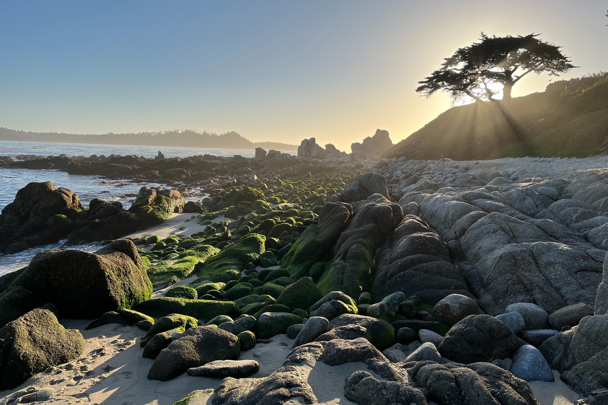 Green funerals in Seaside, CA