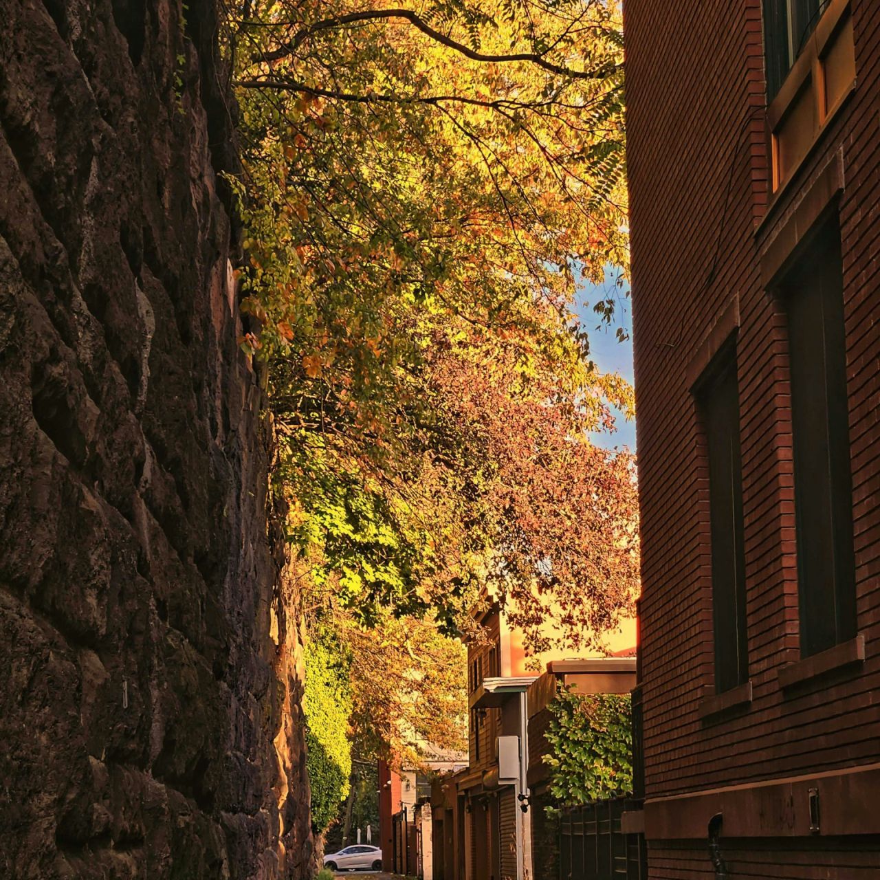 Green funerals in West New York, NJ