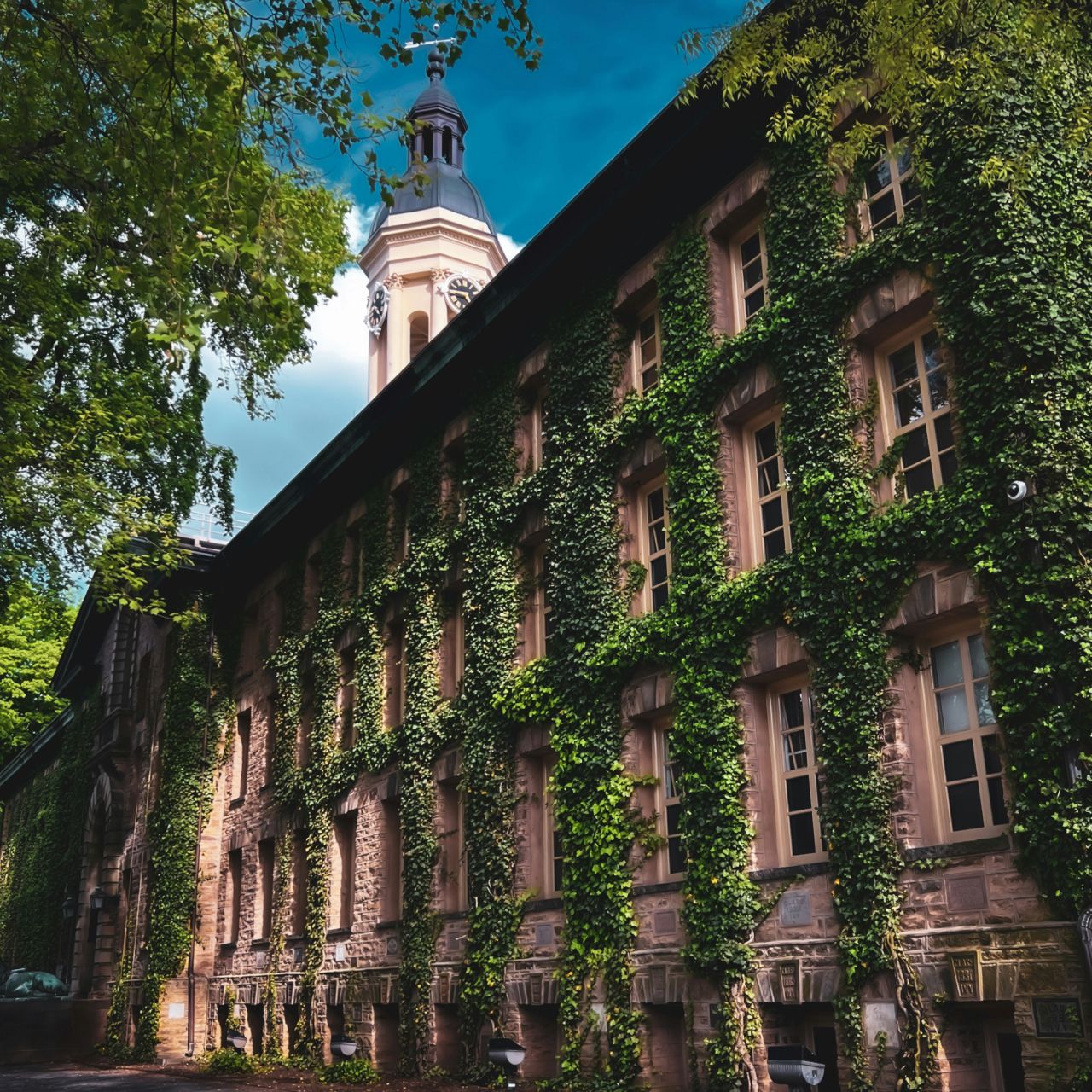 Green funerals in Hamilton Township, NJ