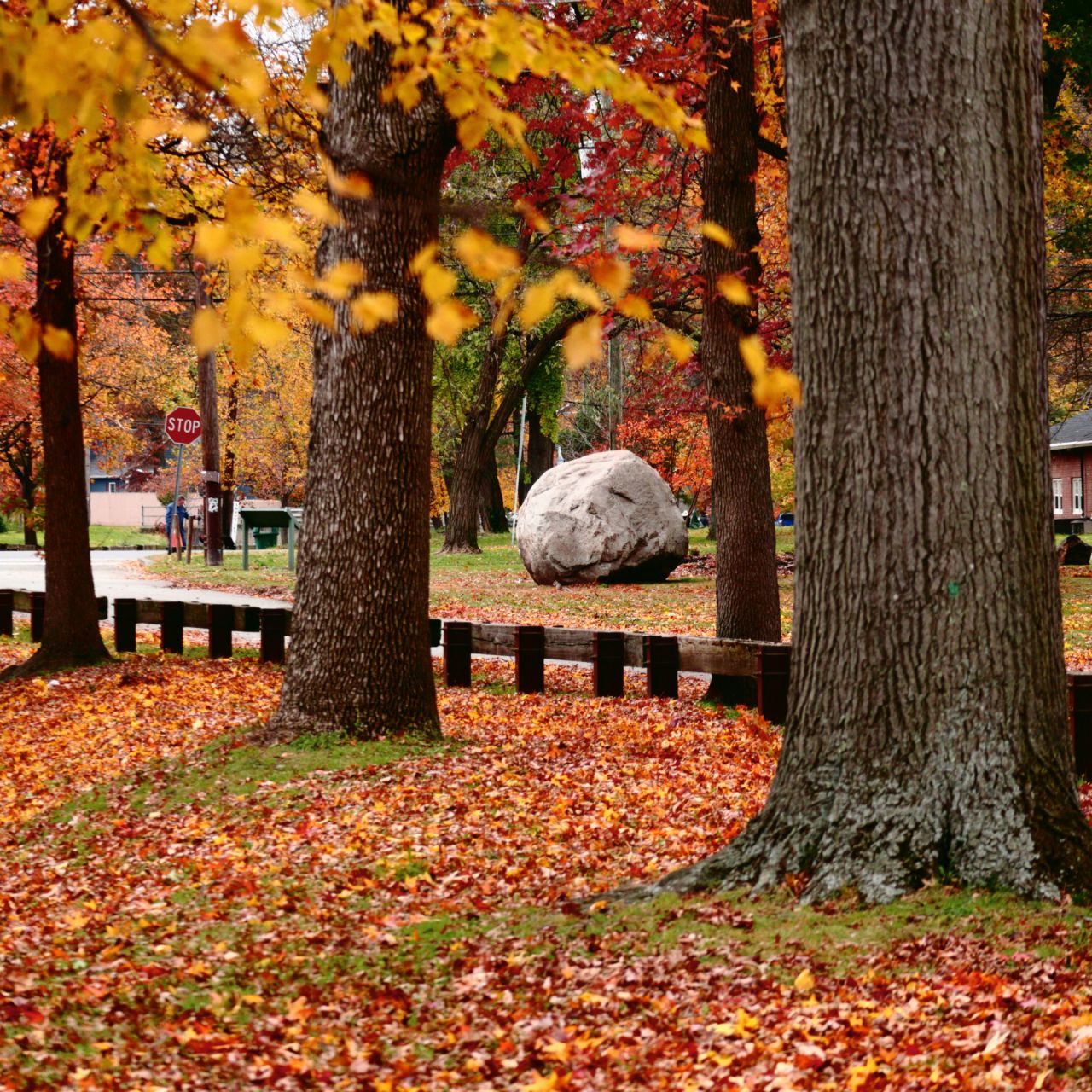 Green funerals in Woodbridge Township, NJ