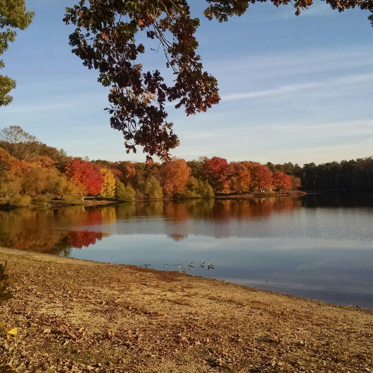 Green funerals in Middletown Township, NJ