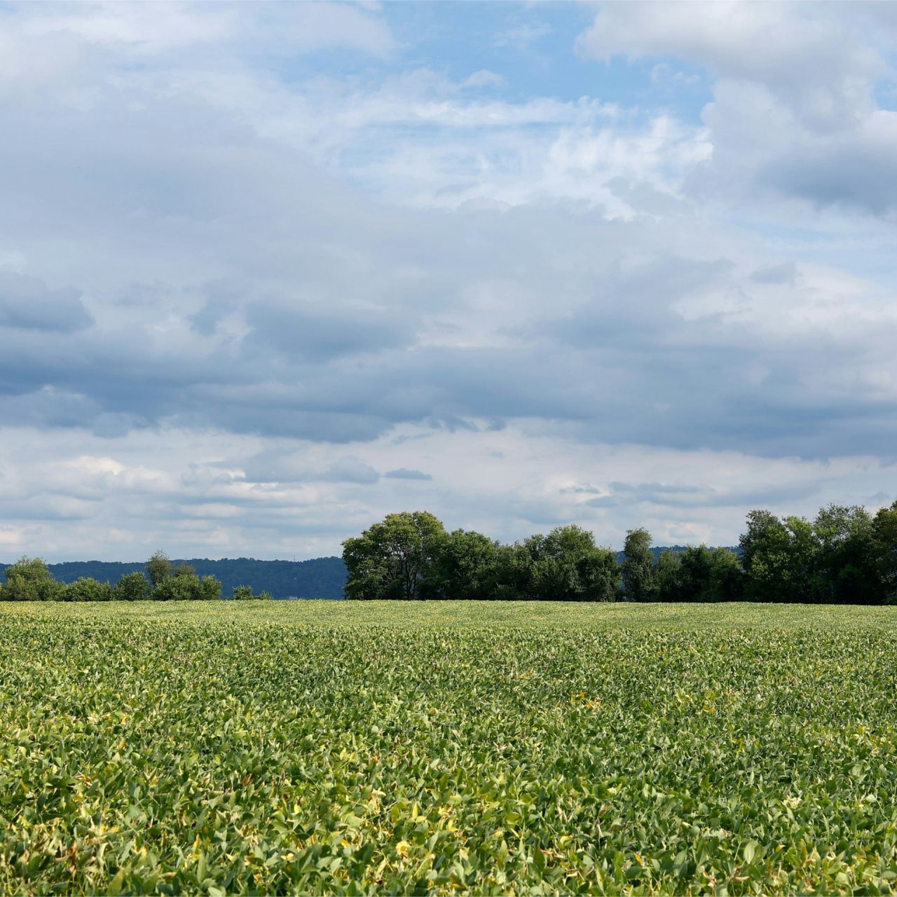 Green funerals in Franklin Township, NJ