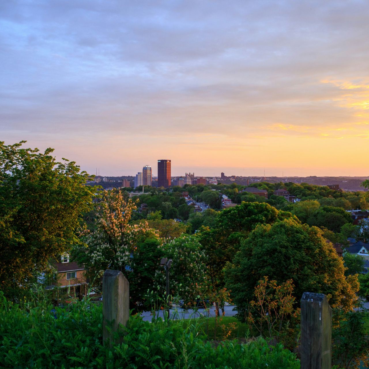 Green funerals in Pittsburgh, PA