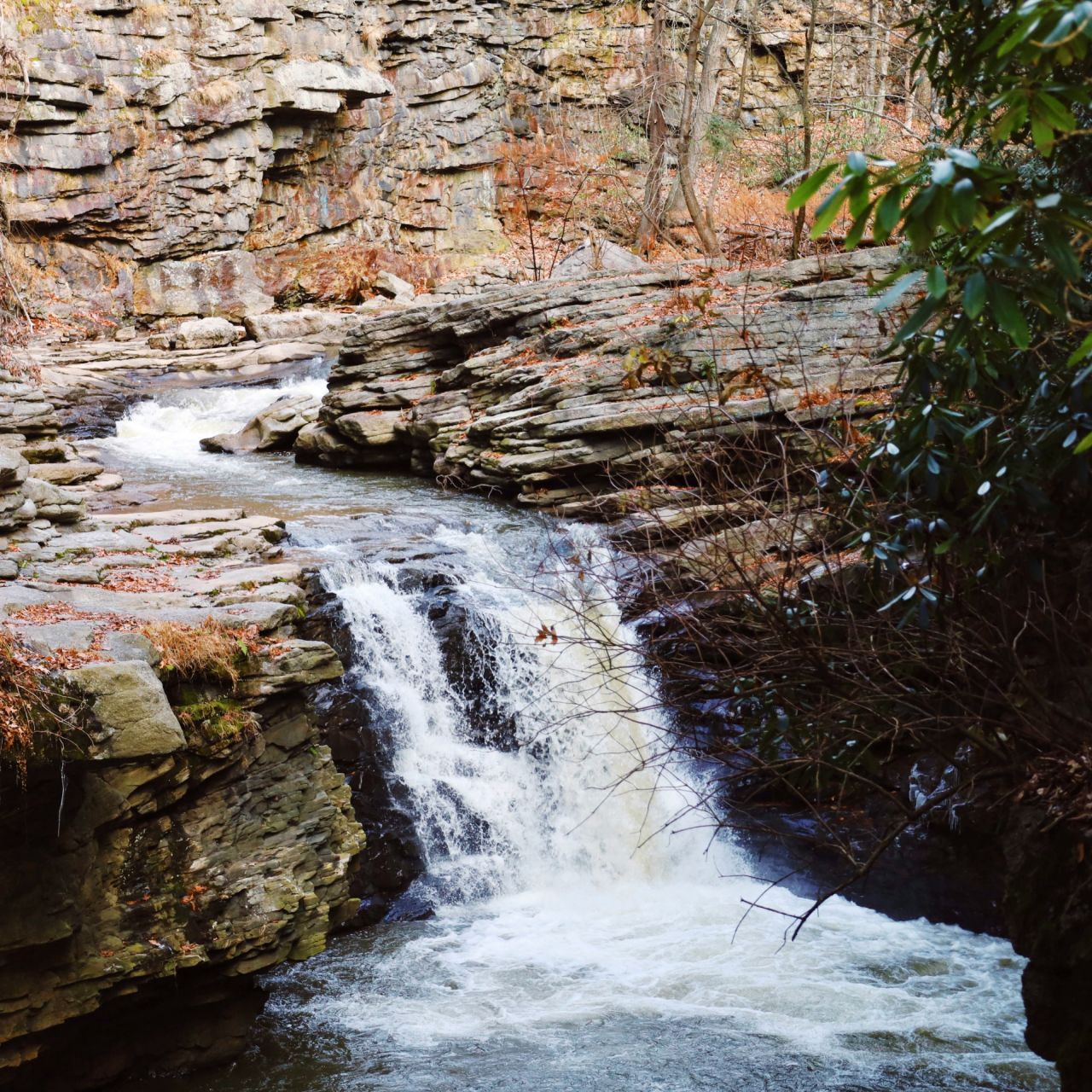 Green funerals in Scranton, PA