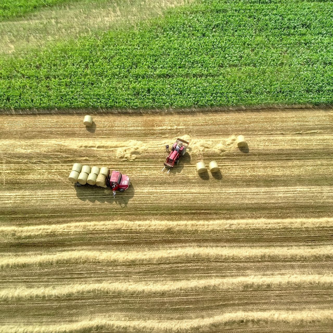 Green funerals in Williamsport, PA
