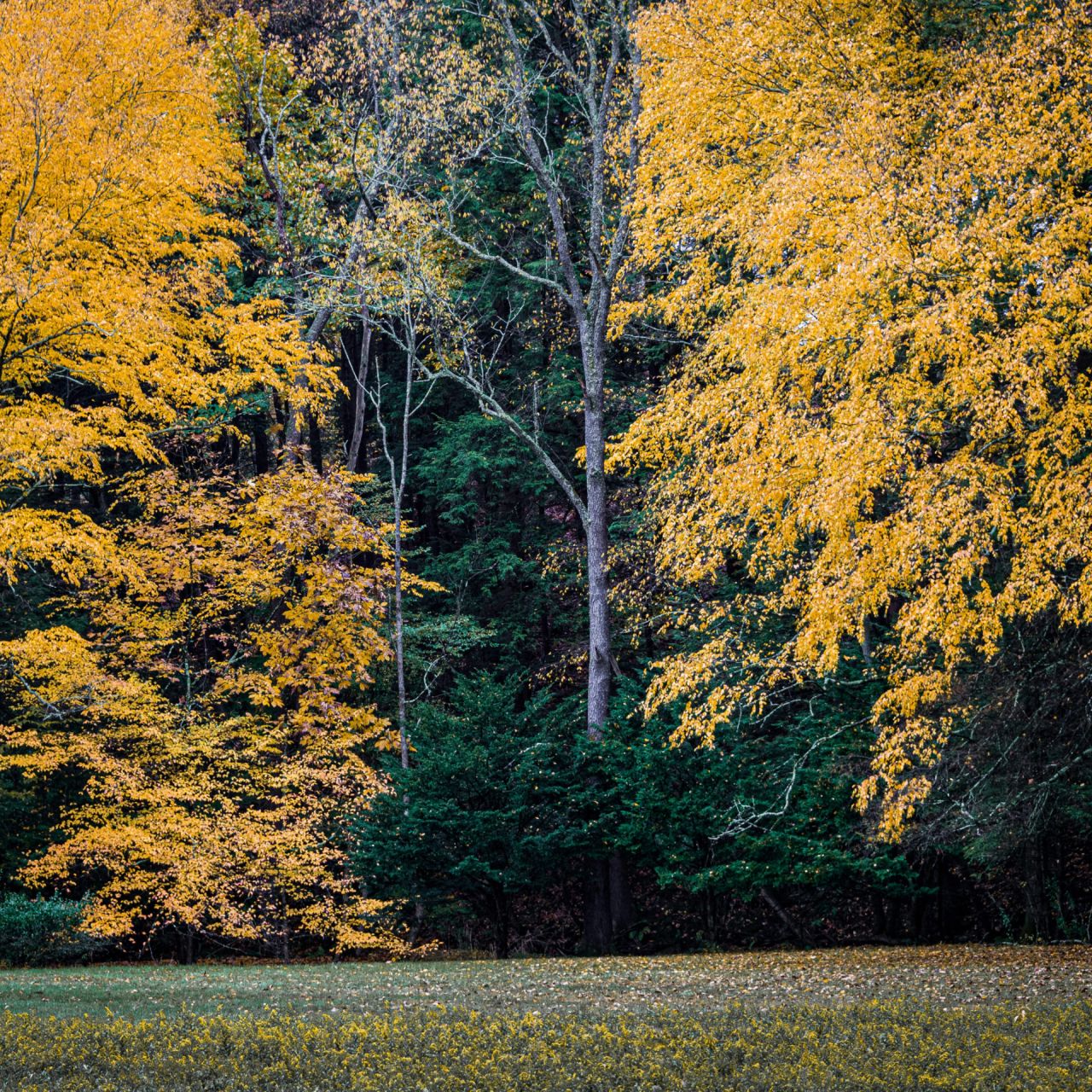 Green funerals in Greensburg, PA