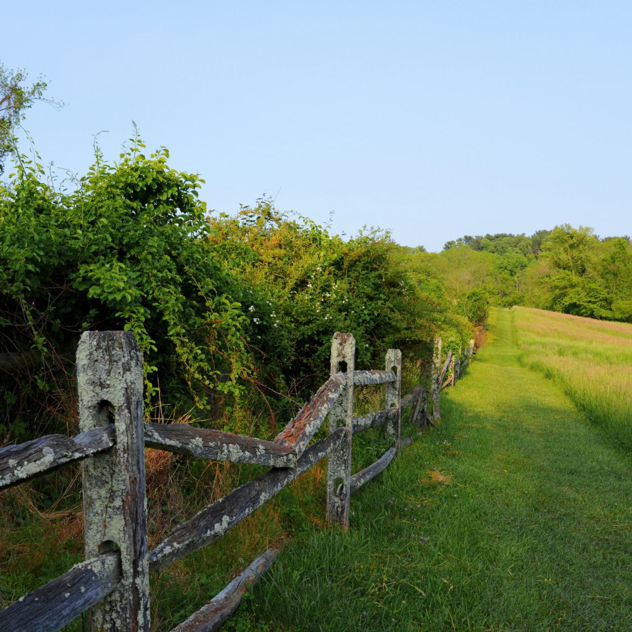 Green funerals in Washington, PA