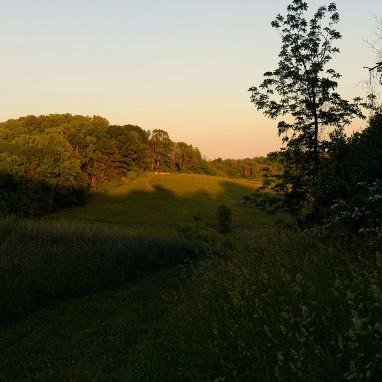 Green funerals in Pottsville, PA