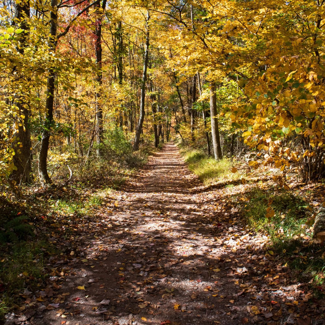 Green funerals in Sunbury, PA