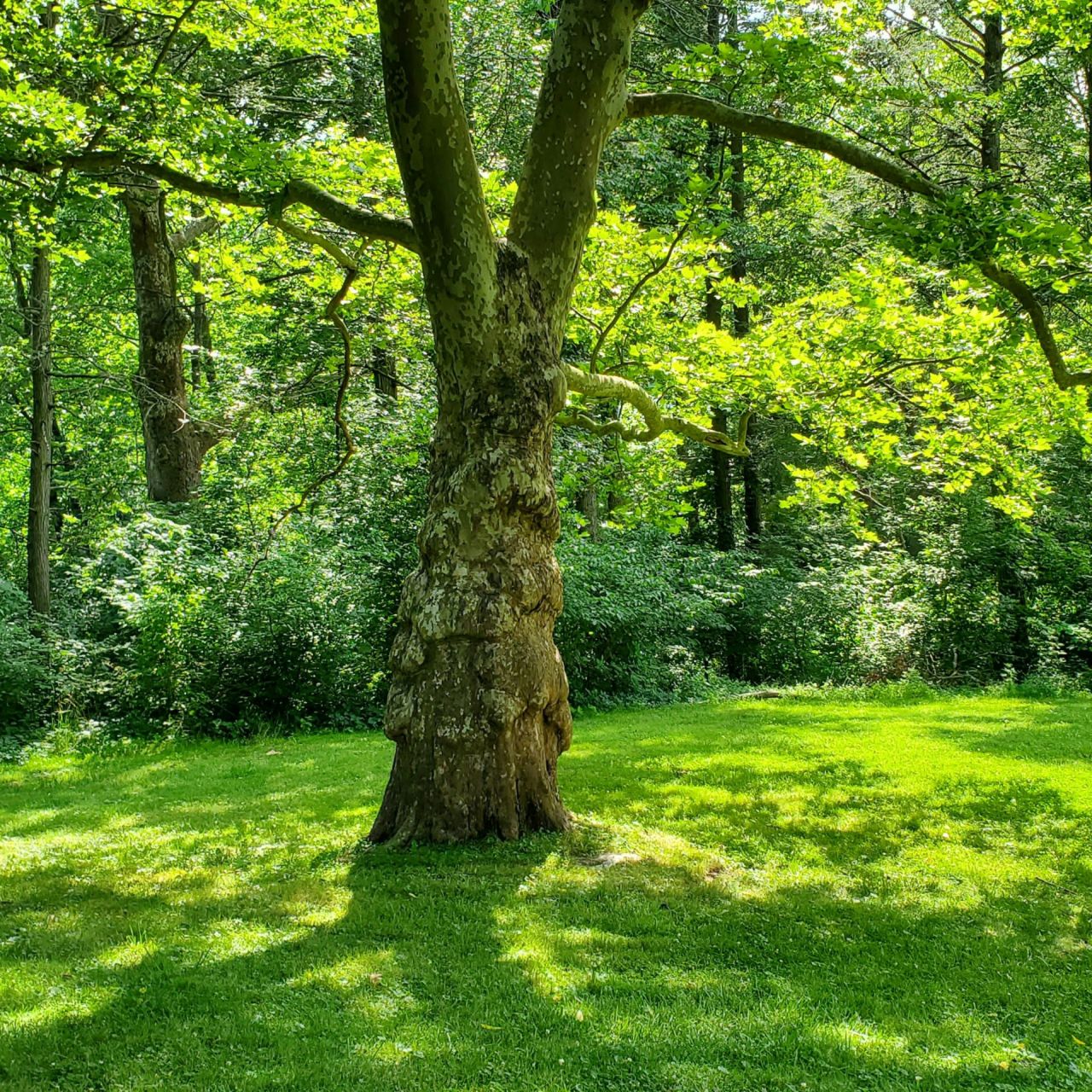 Green funerals in Coatesville, PA