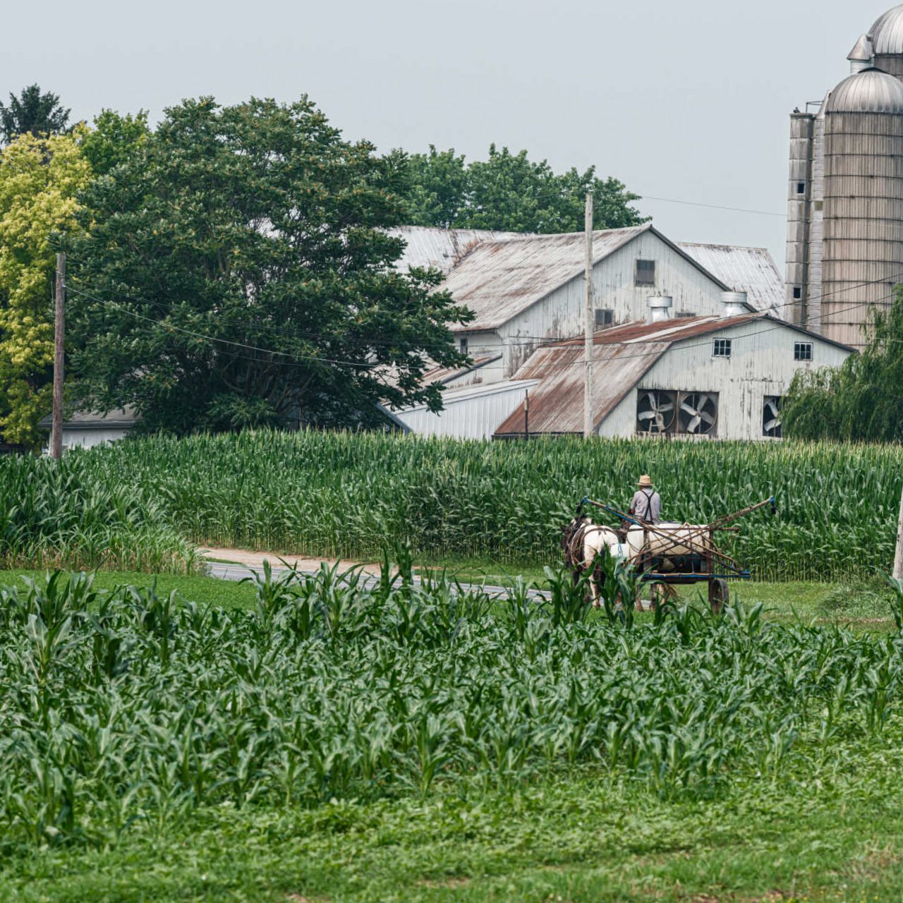 Green funerals in Parker, PA
