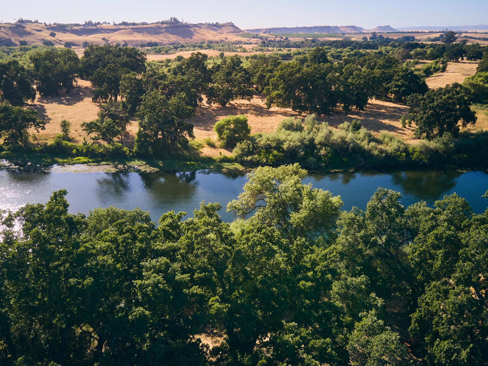 A beautiful landscape showing a mountain in the background and Earth Funeral’s conservation land and trees in the foreground