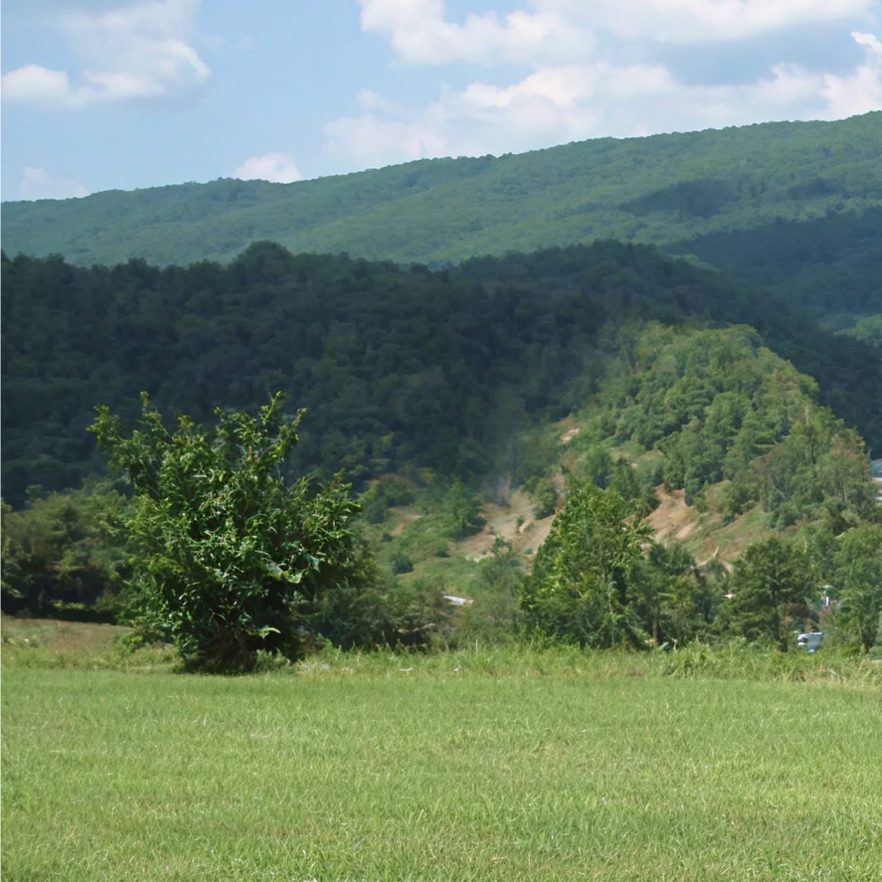 Green funerals in Bland, VA