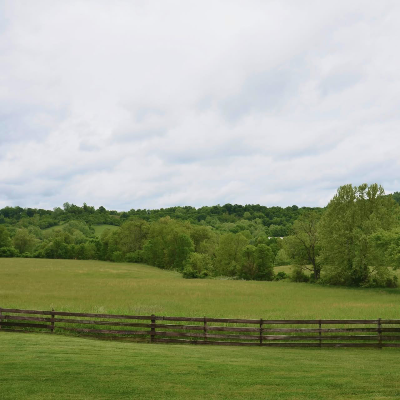 Green funerals in Chesterfield, VA