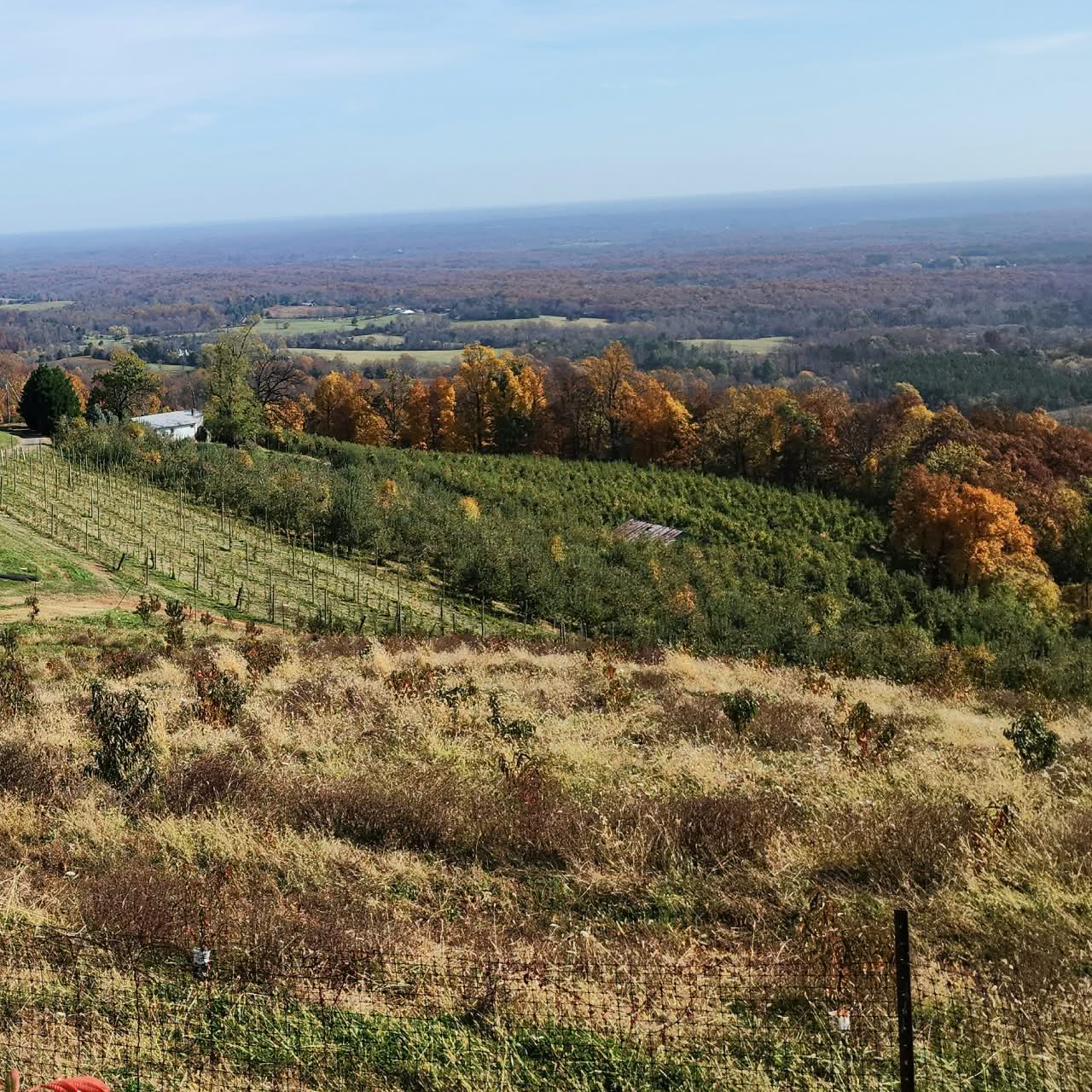 Green funerals in Charlottesville, VA