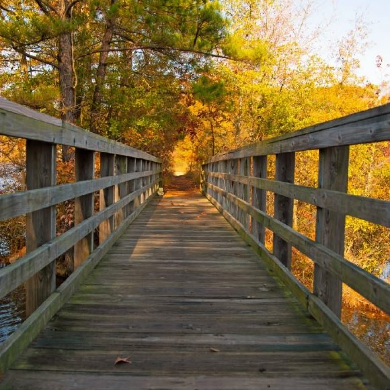Green funerals in Colonial Heights, VA