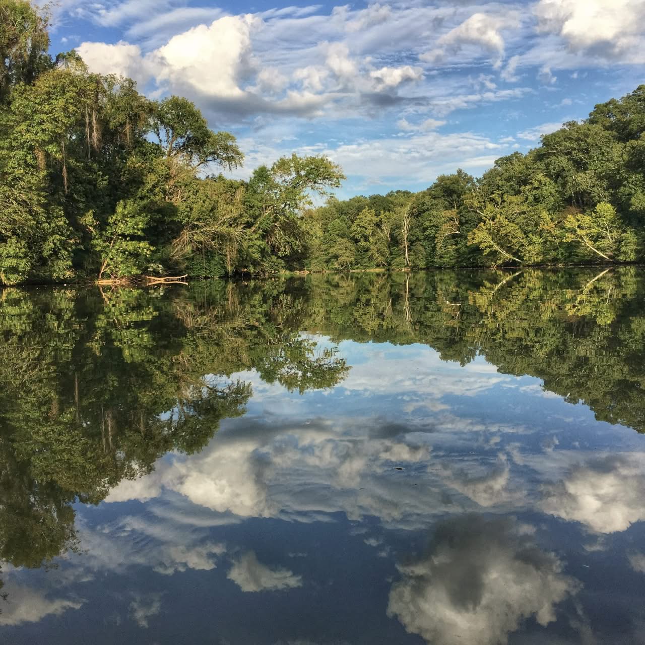 Green funerals in Danville, VA