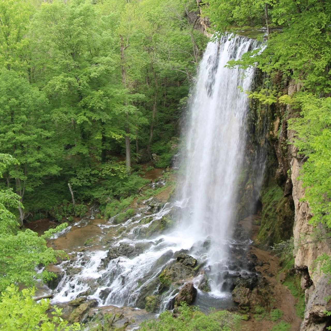 Green funerals in Covington, VA