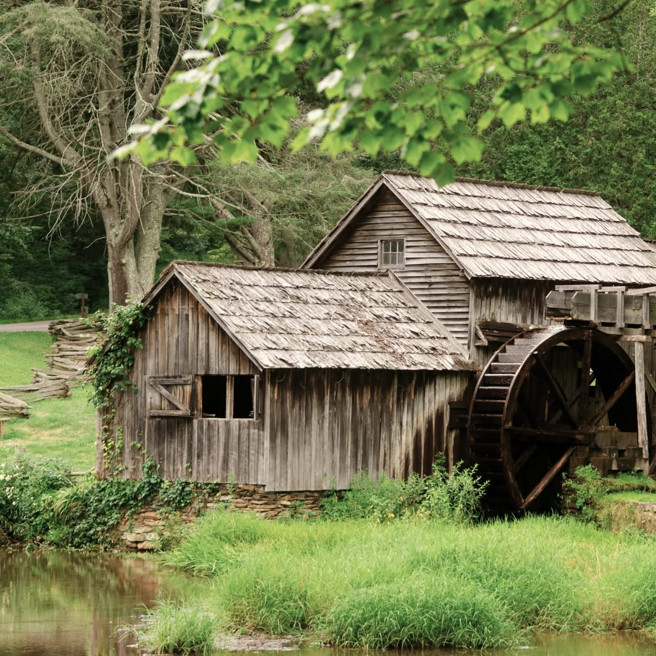 Green funerals in Floyd, VA
