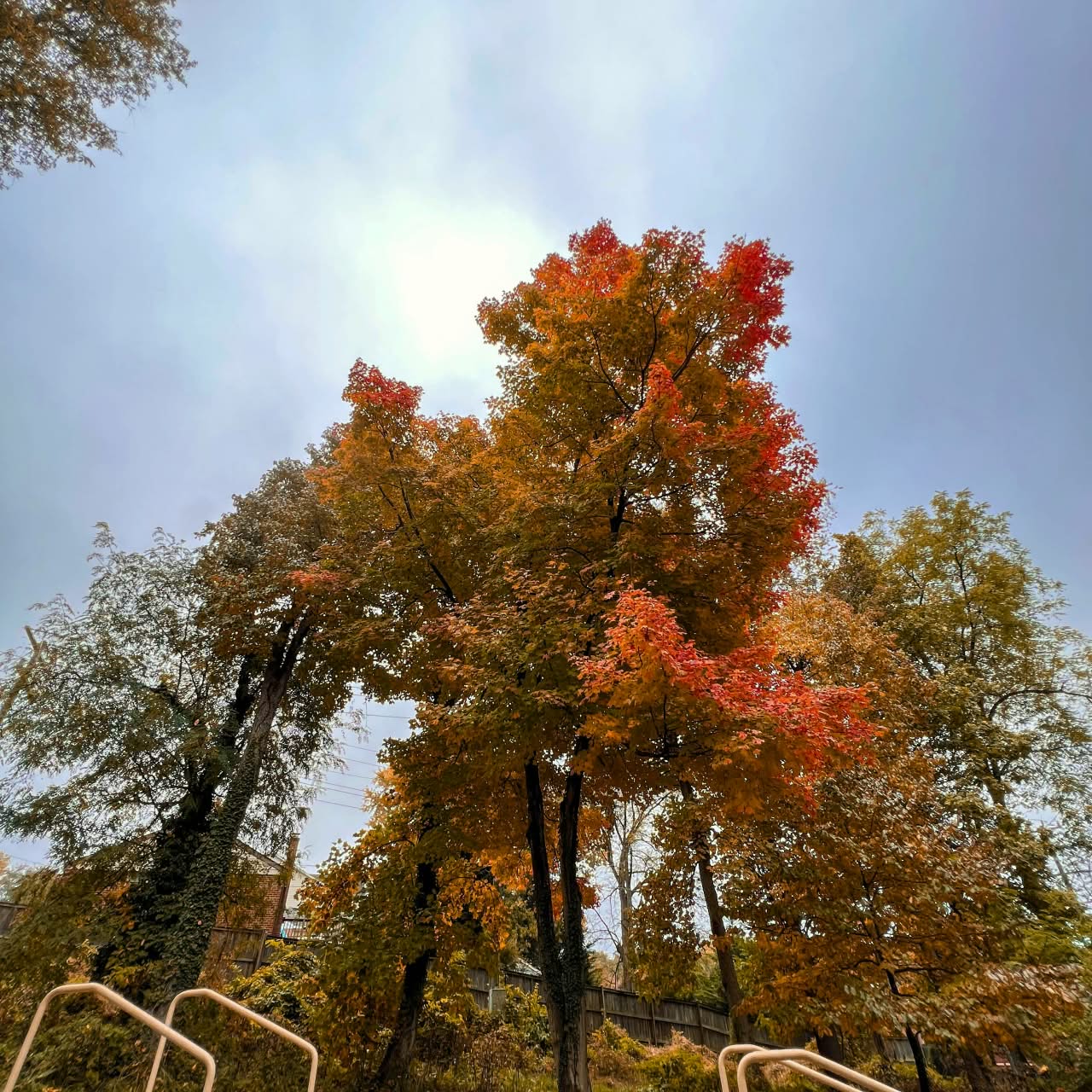Green funerals in Falls Church, VA
