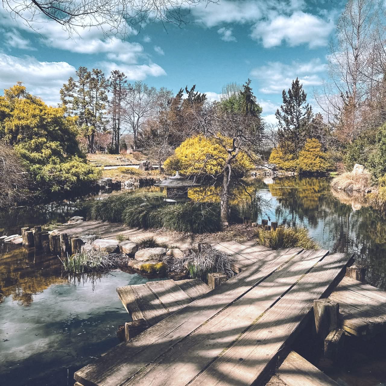 Green funerals in Henrico, VA