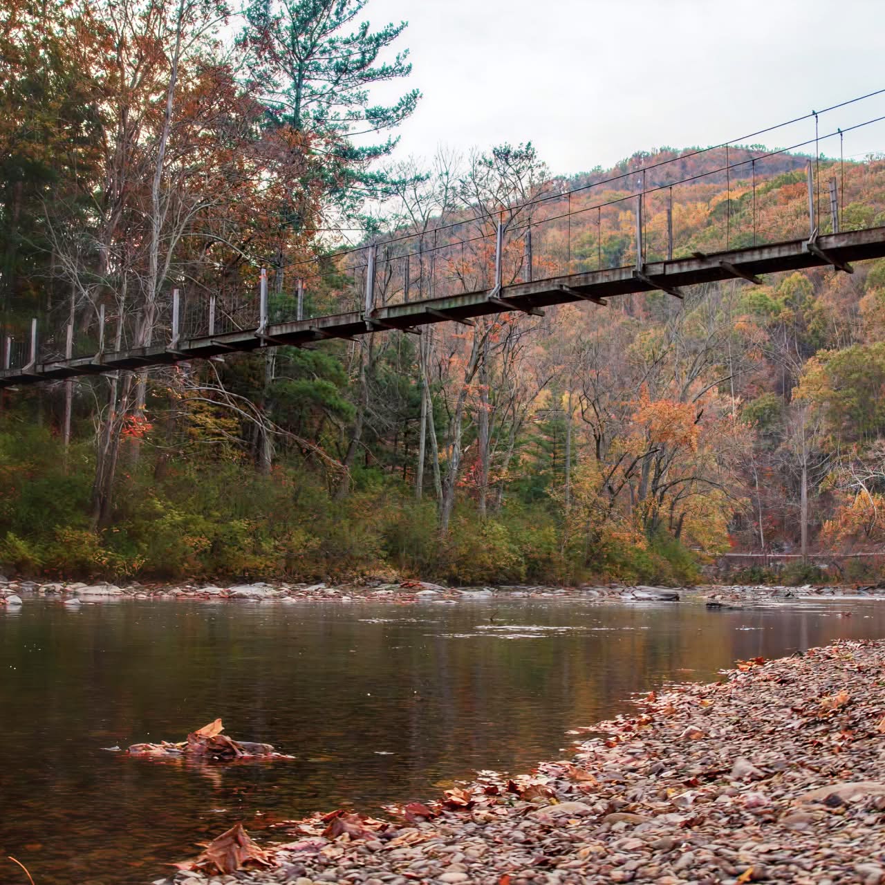 Green funerals in Lexington, VA