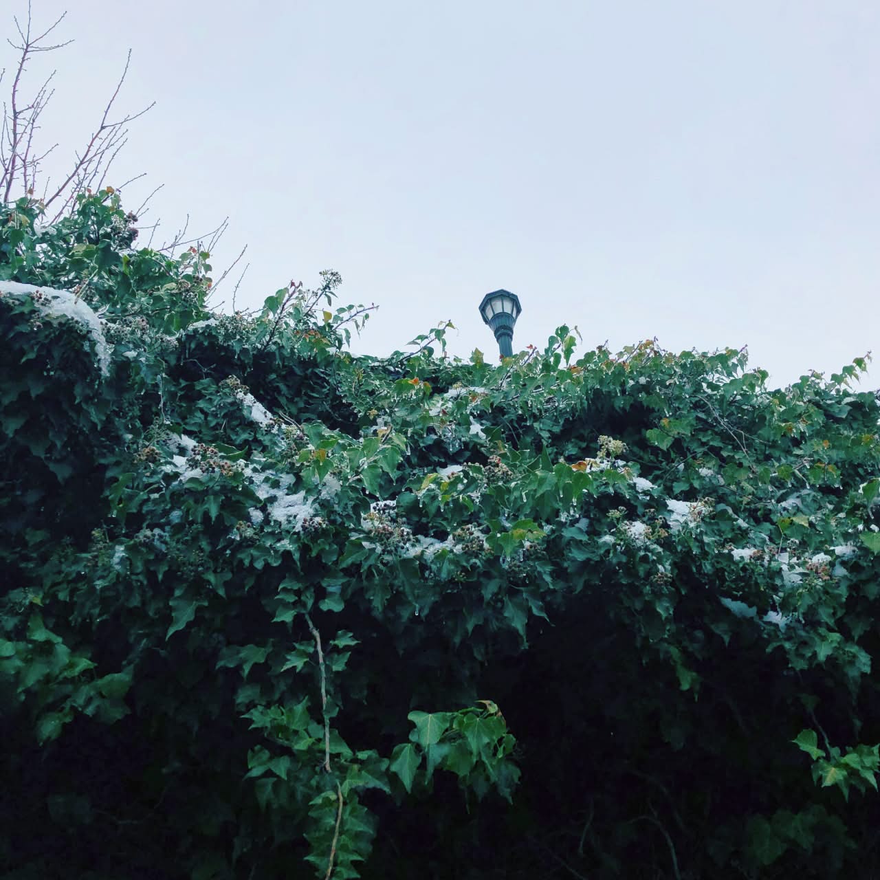 Green funerals in Lynchburg, VA
