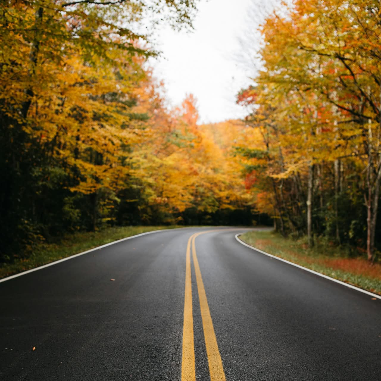 Green funerals in Shenandoah, VA