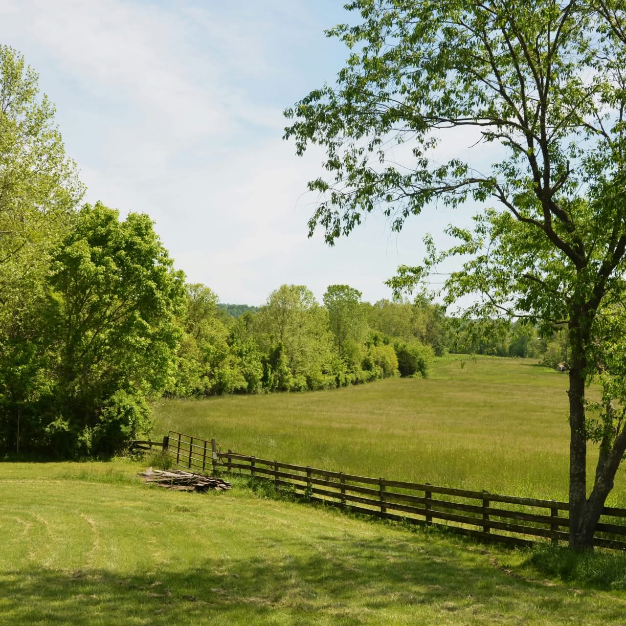 Green funerals in Surry, VA