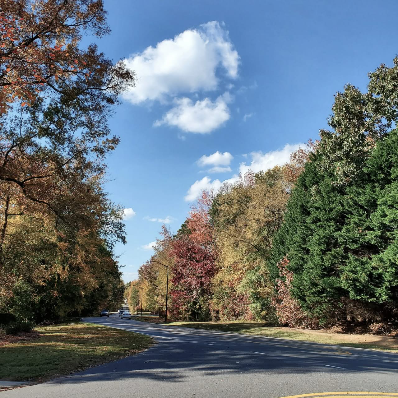 Green funerals in Waynesboro, VA