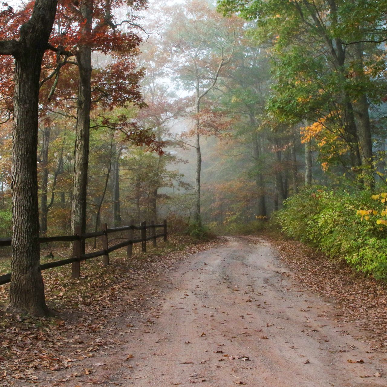 Green funerals in Glen Burnie, MD