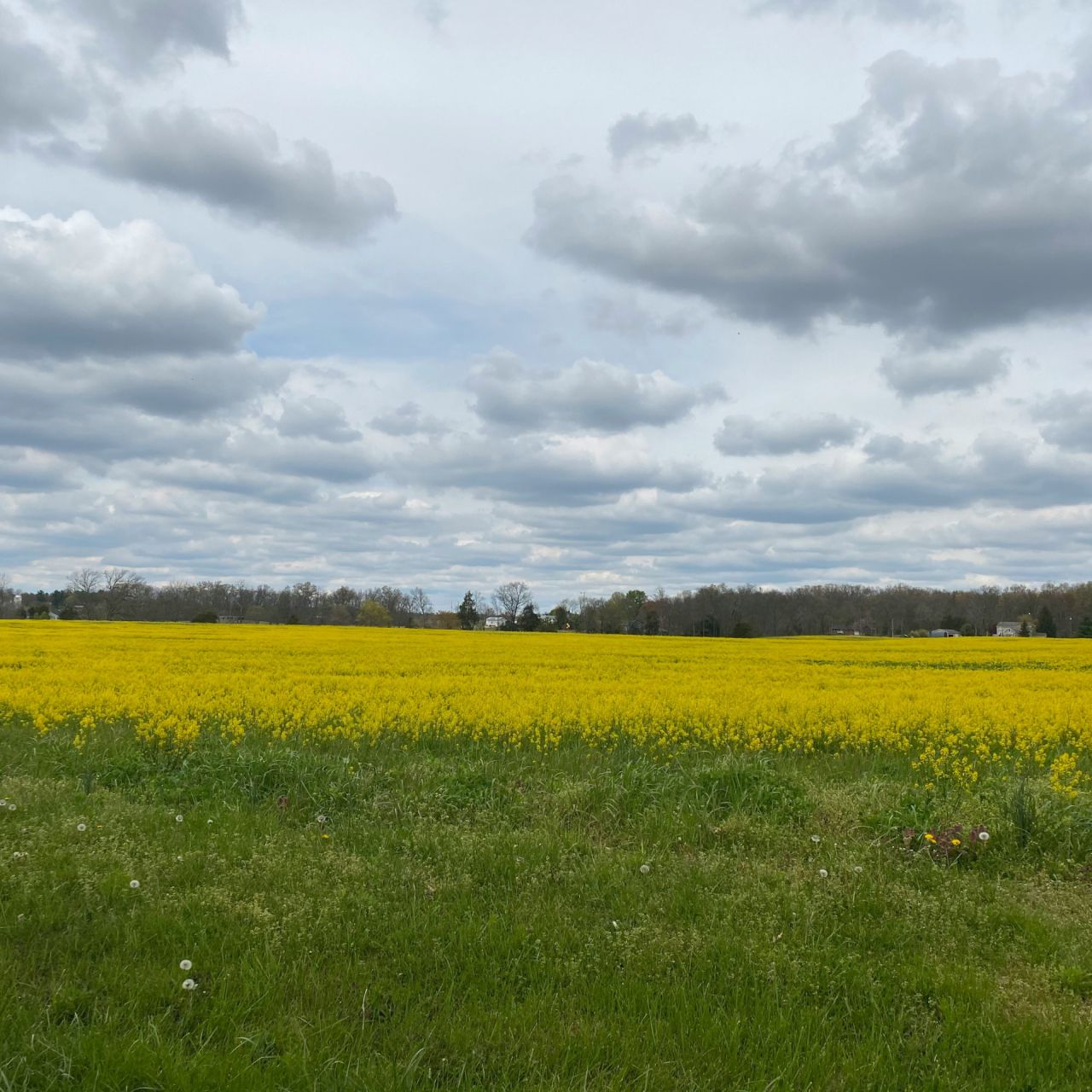 Green funerals in Taneytown, MD