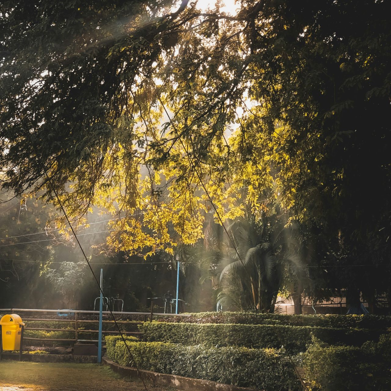 Green funerals in Frederick, MD