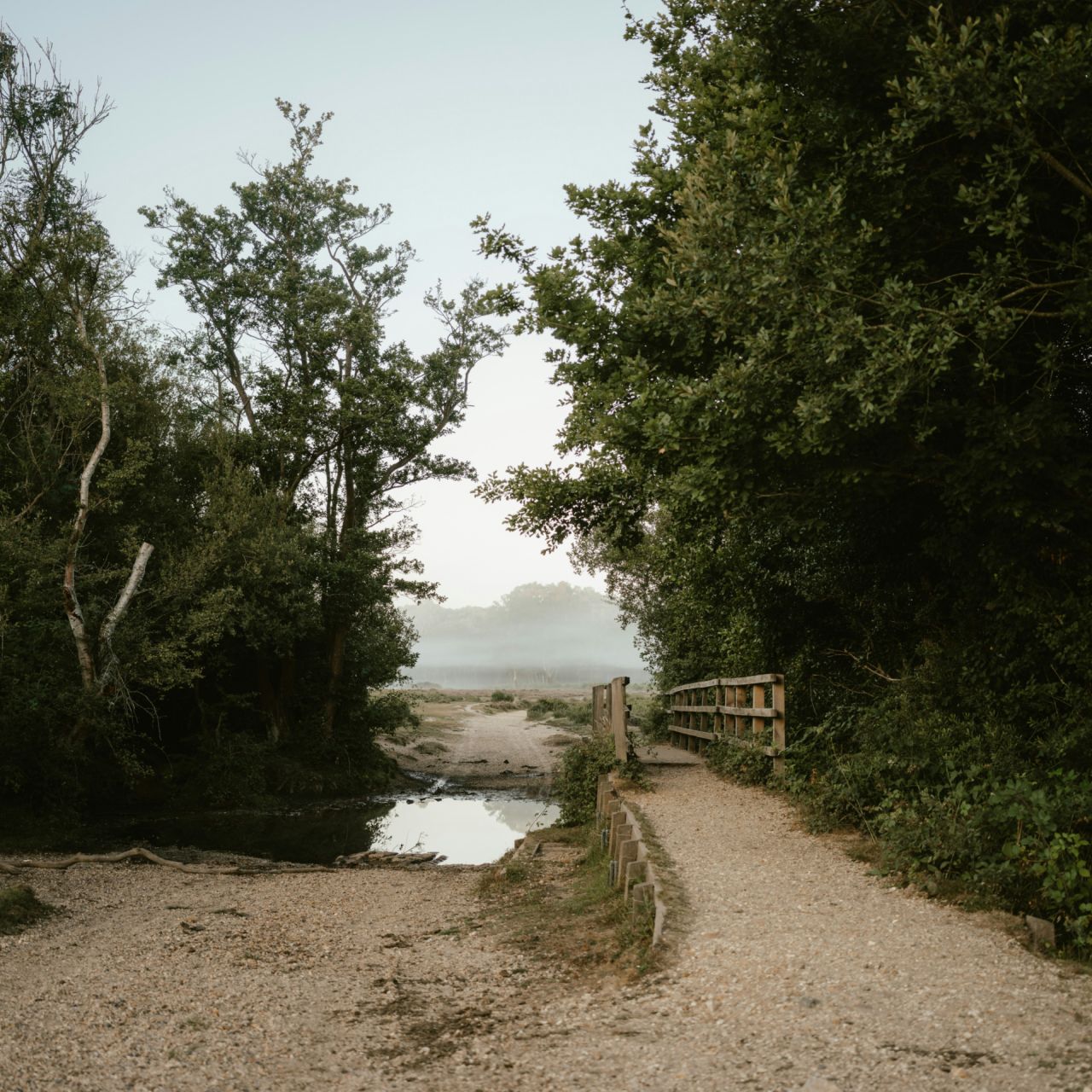 Green funerals in Lexington Park, MD