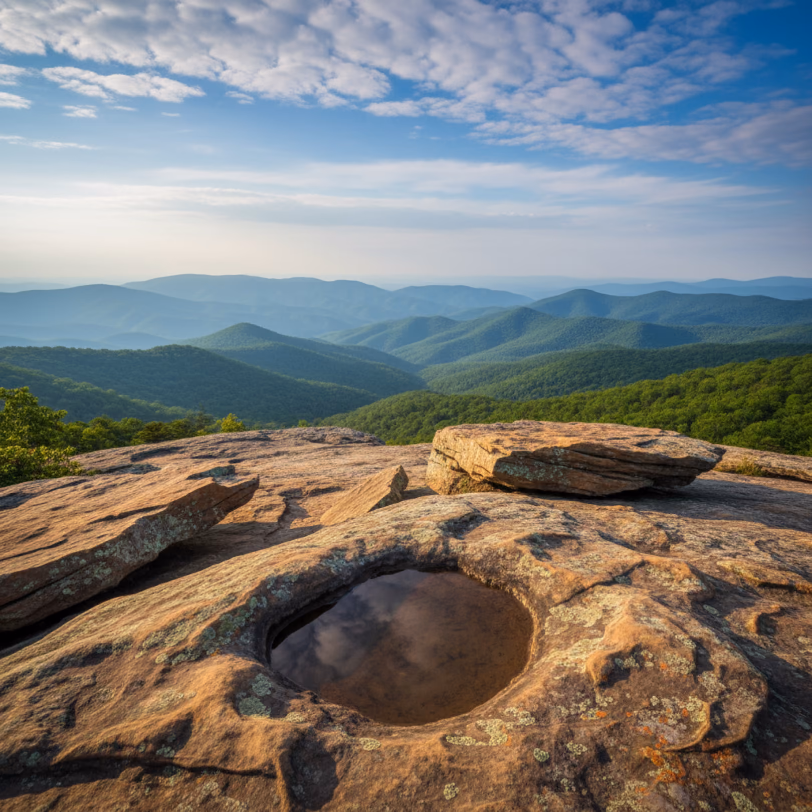 Human composting is now available to Virginia families through Earth Funeral