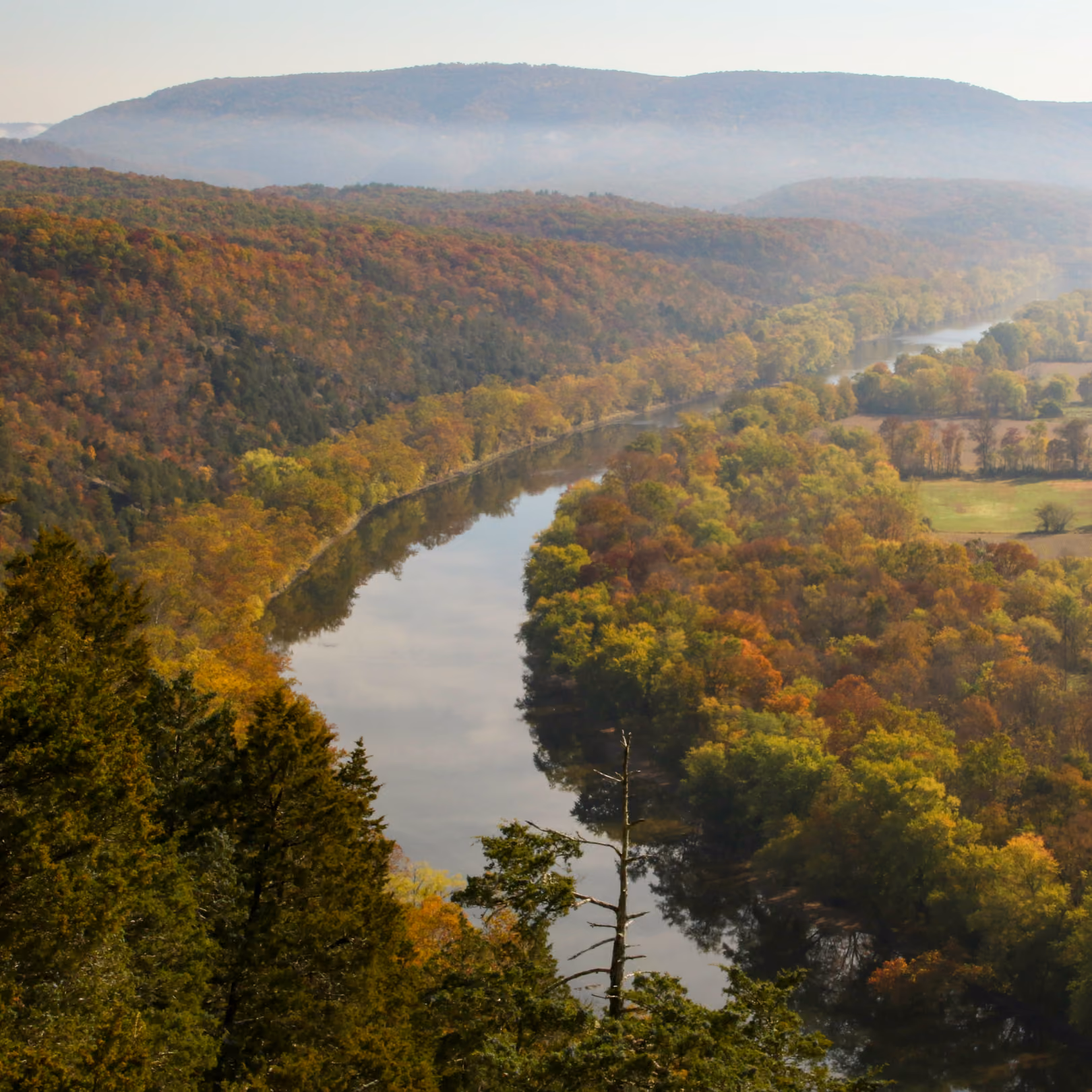 Human composting is now available to Maryland families through Earth Funeral