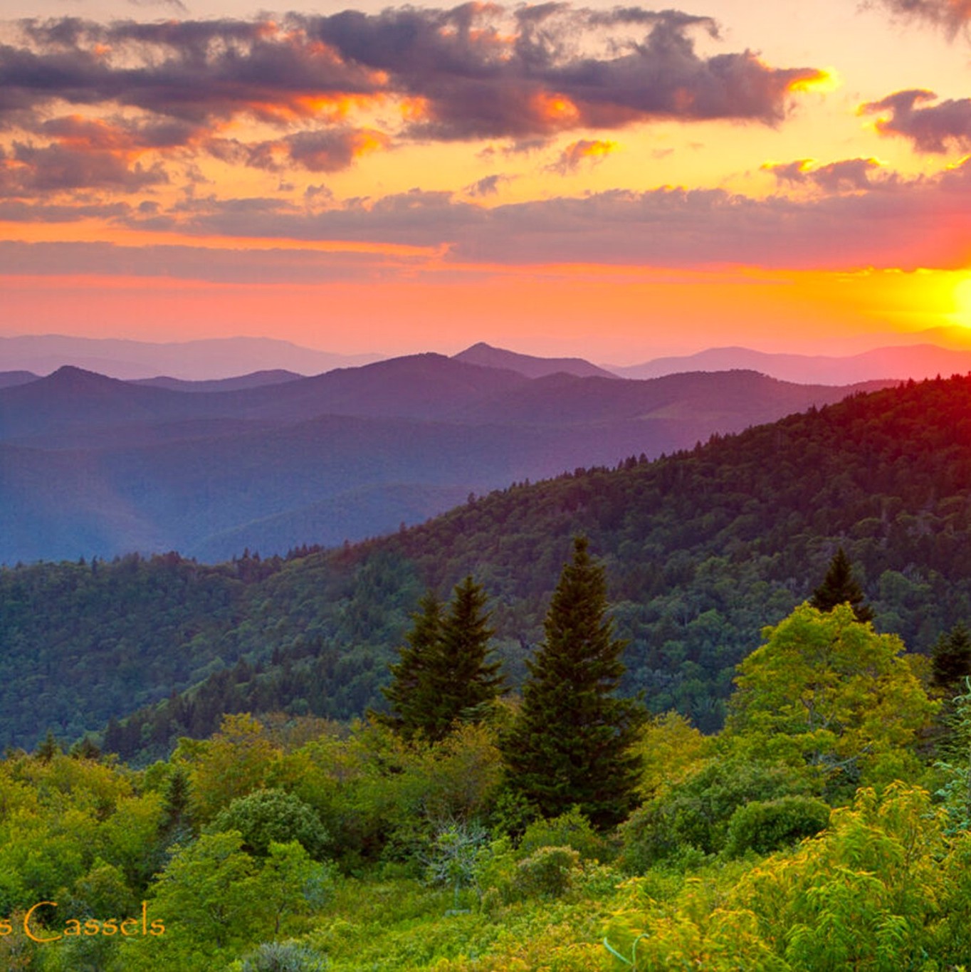 Green funerals in Hillsville, VA