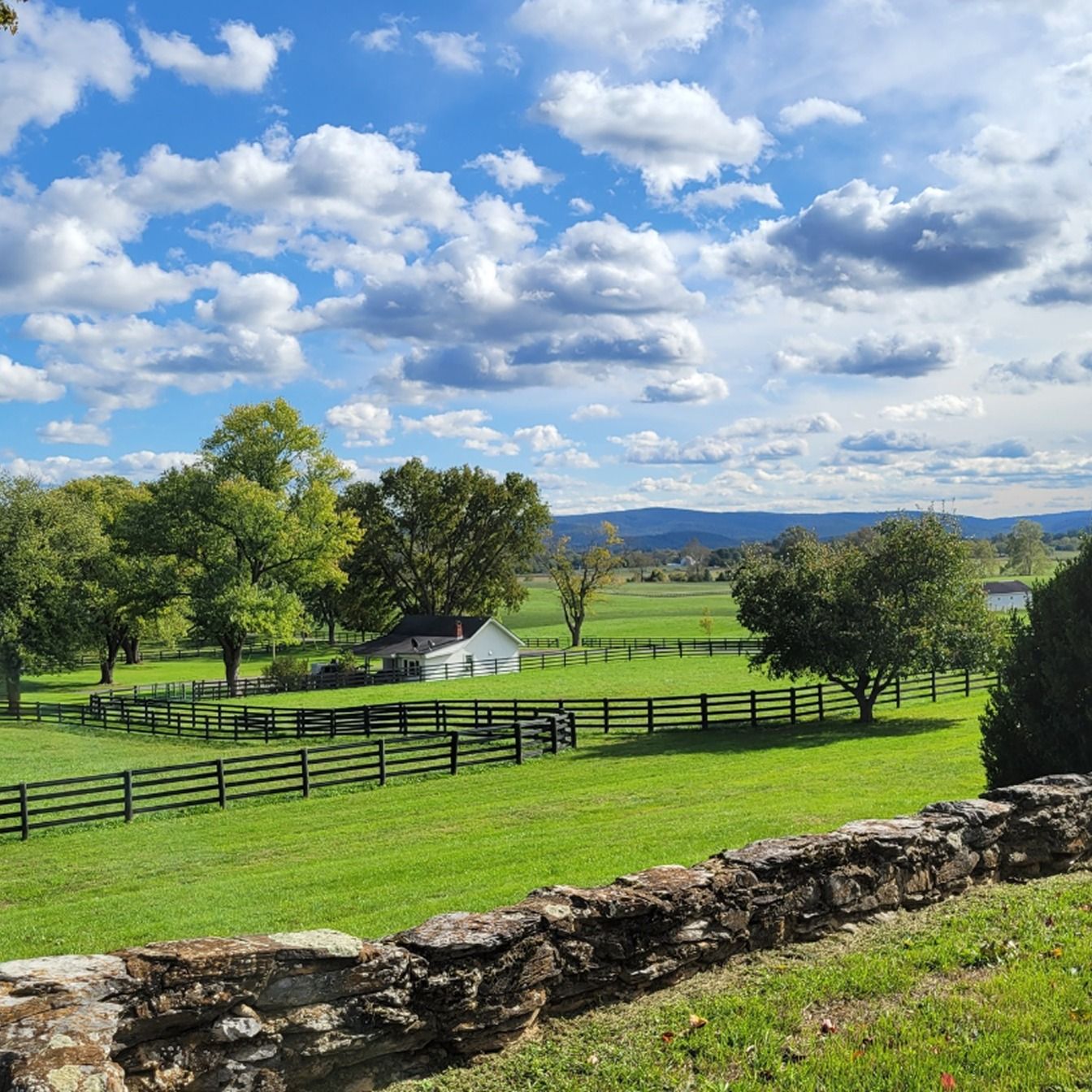 Green funerals in Berryville, VA