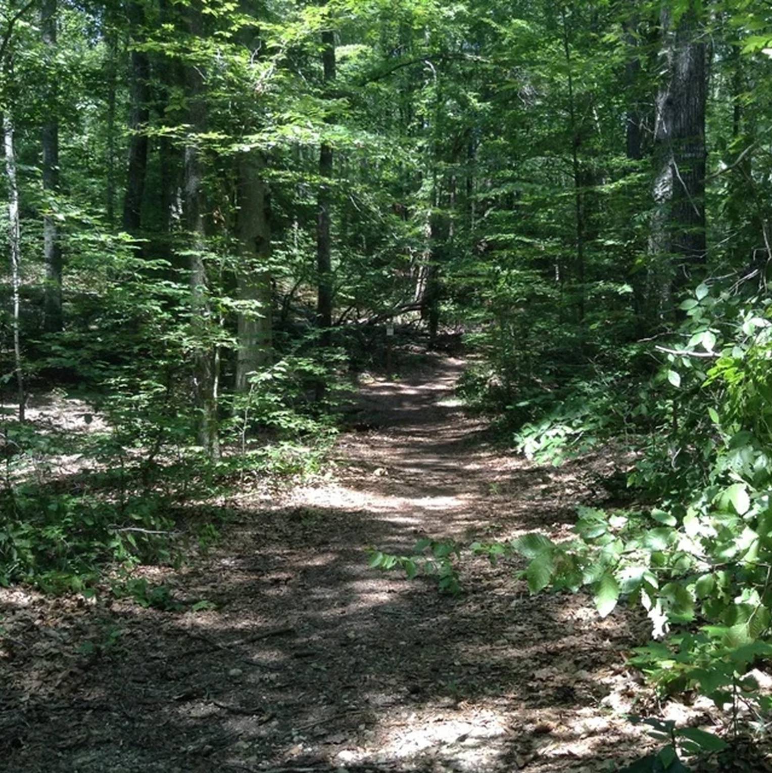 Green funerals in Spotsylvania Courthouse, VA