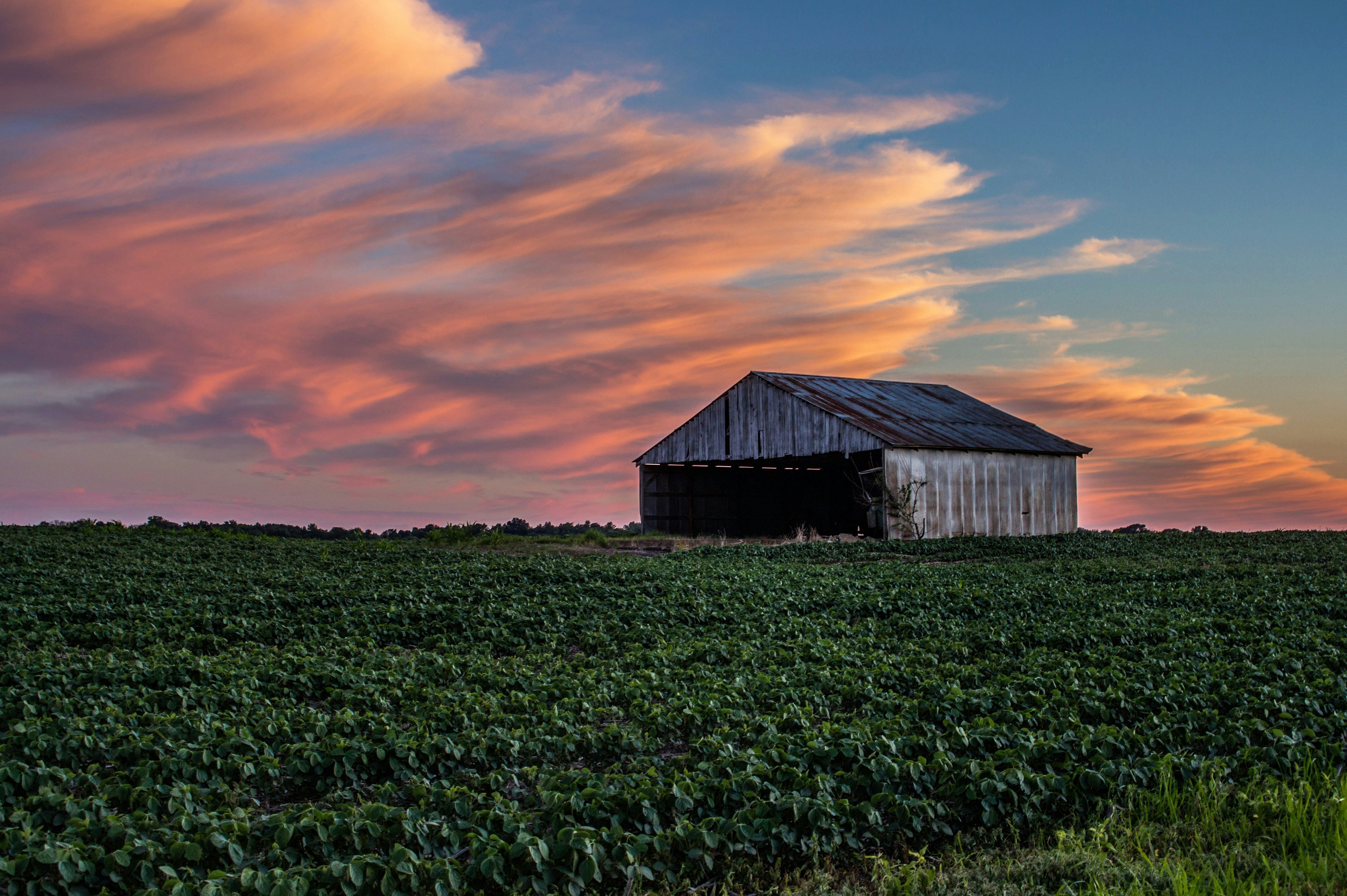 Human Composting Indiana