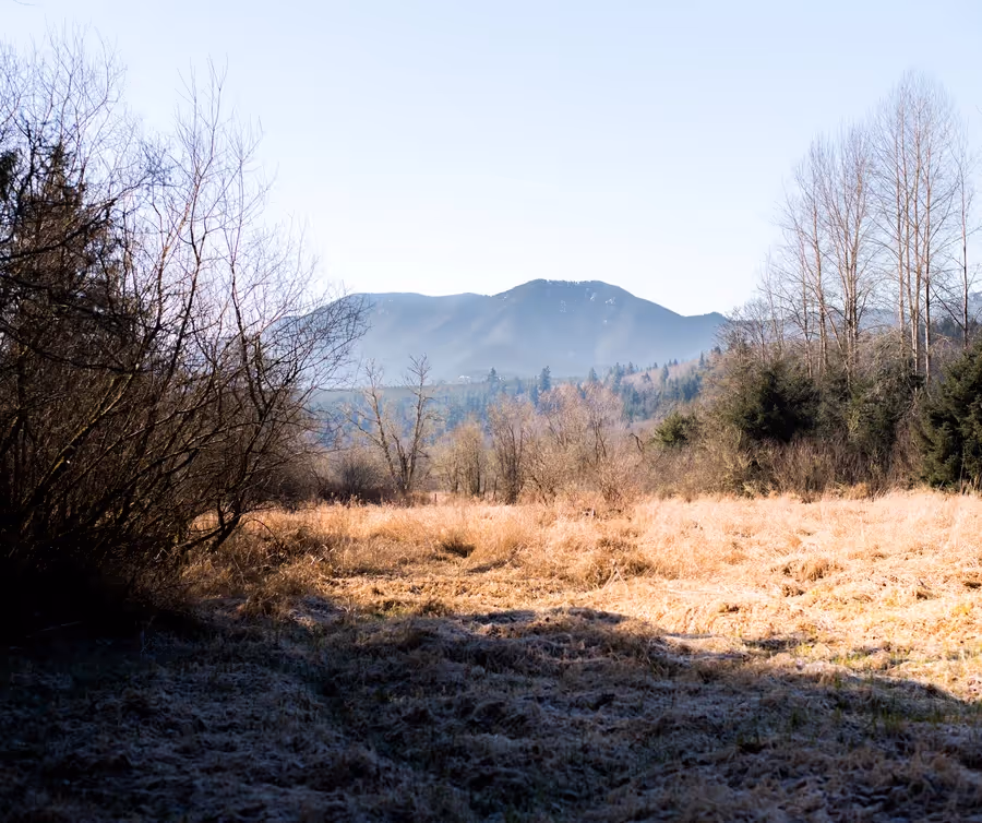 A beautiful landscape showing a mountain in the background and Earth Funeral’s conservation land and trees in the foreground