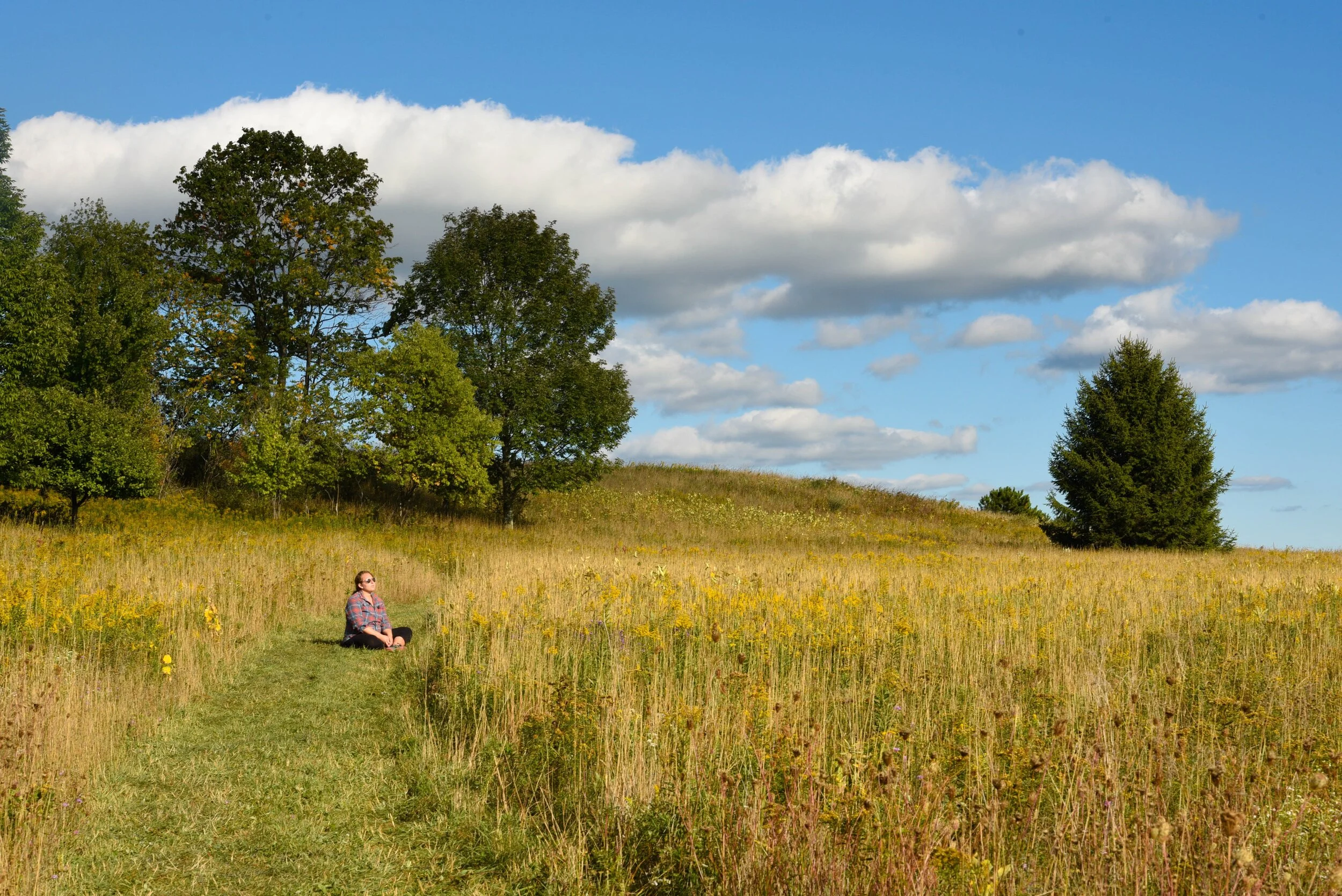 A beautiful landscape showing a mountain in the background and Earth Funeral’s conservation land and trees in the foreground